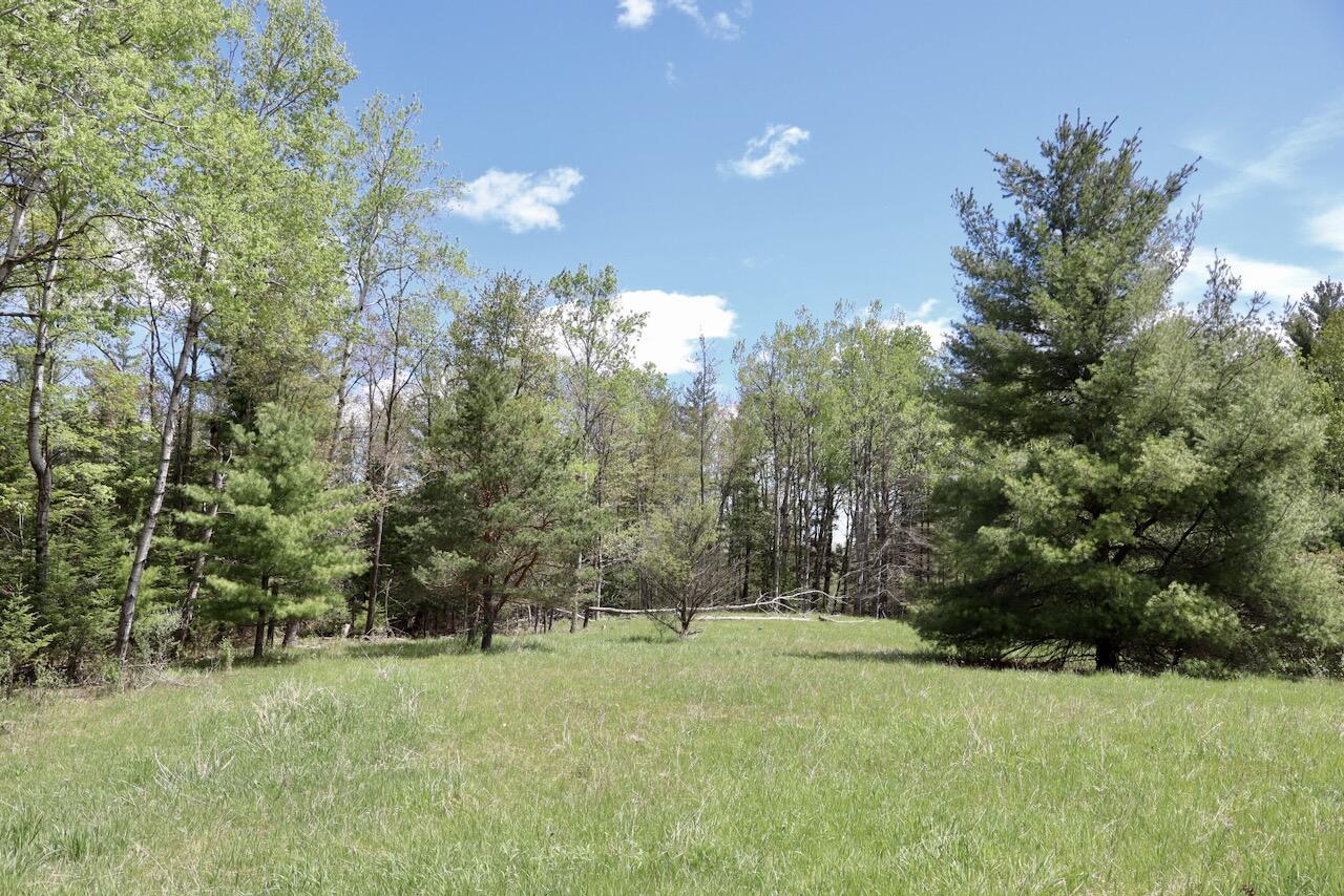 5826 South Morrison Road Alger, MI 48610 - Photo 47 of 86 038