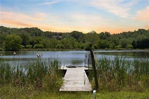 6249 Ben Parks Road Murrayville, GA 30564 - Photo 72 of 90