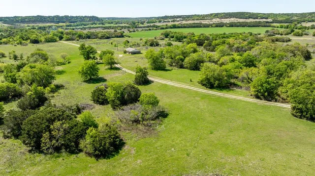 a view of a lush green forest with trees and houses