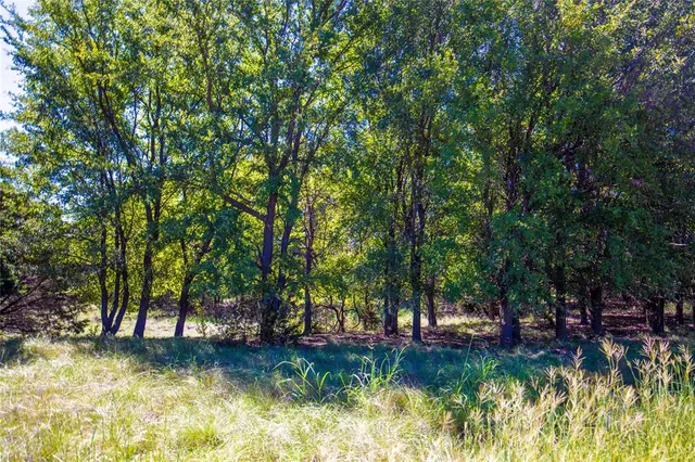 a view of a backyard with swimming pool