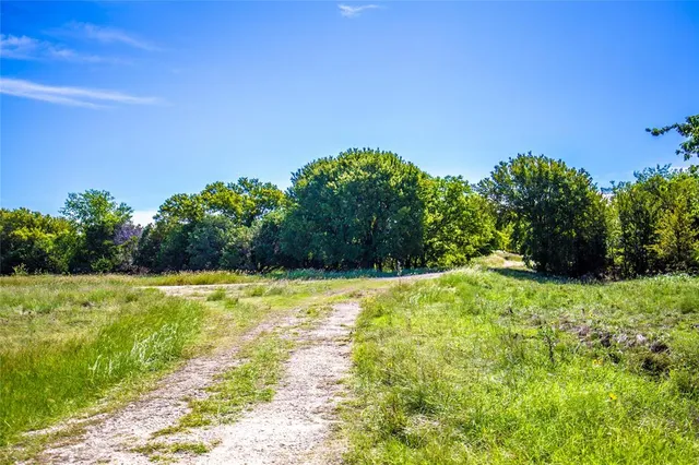a view of a yard with an tree