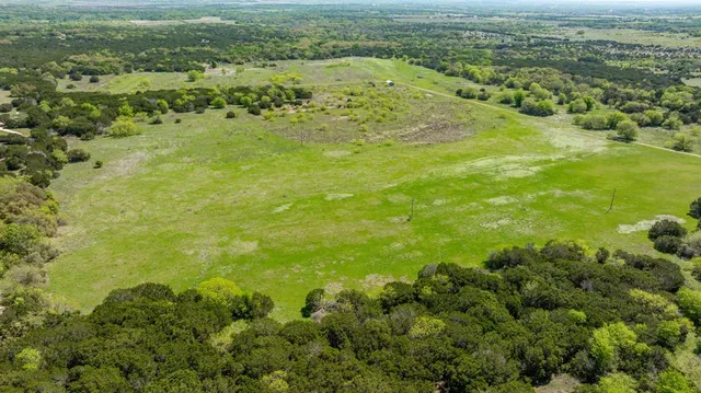 a view of a lush green field with lots of trees