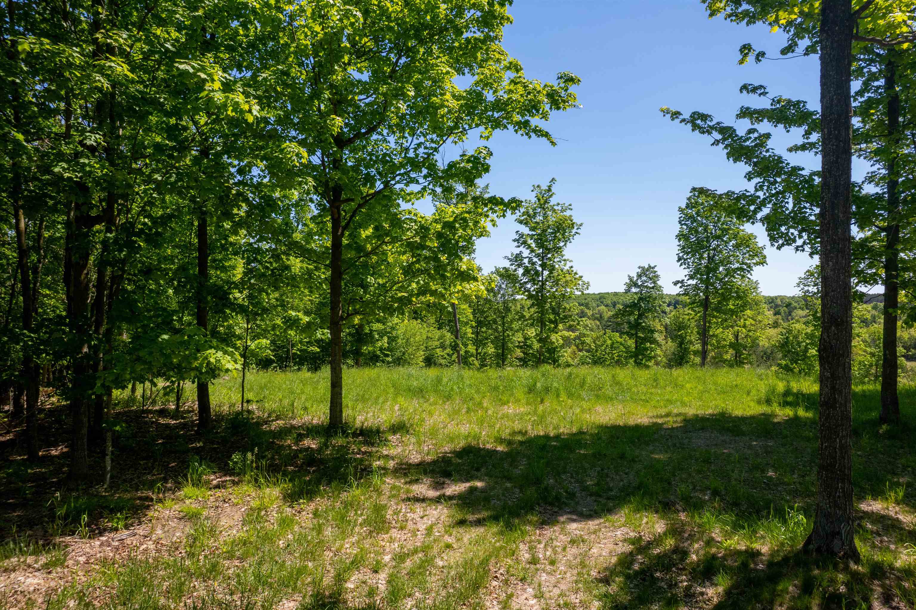 5844 Elkhorn Road, Unit LOT: 73 Kingsley, MI 49649 - Photo 4 of 12