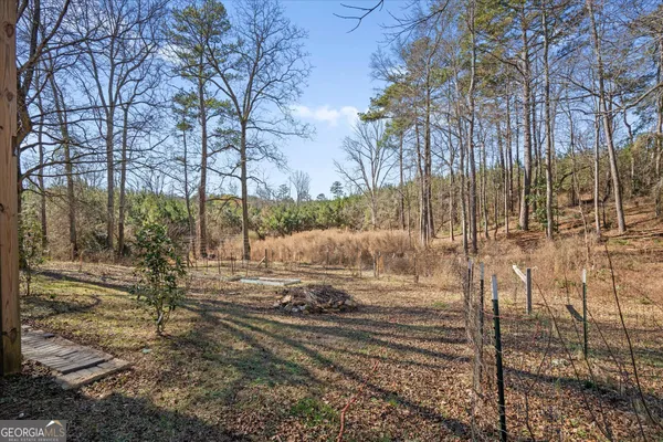 a view of a yard with large trees