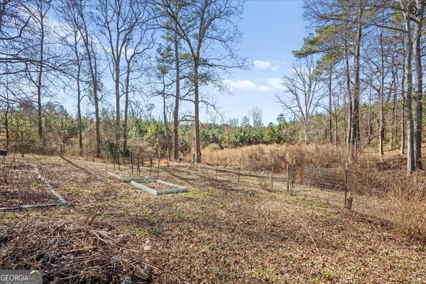 a view of a yard with a tree