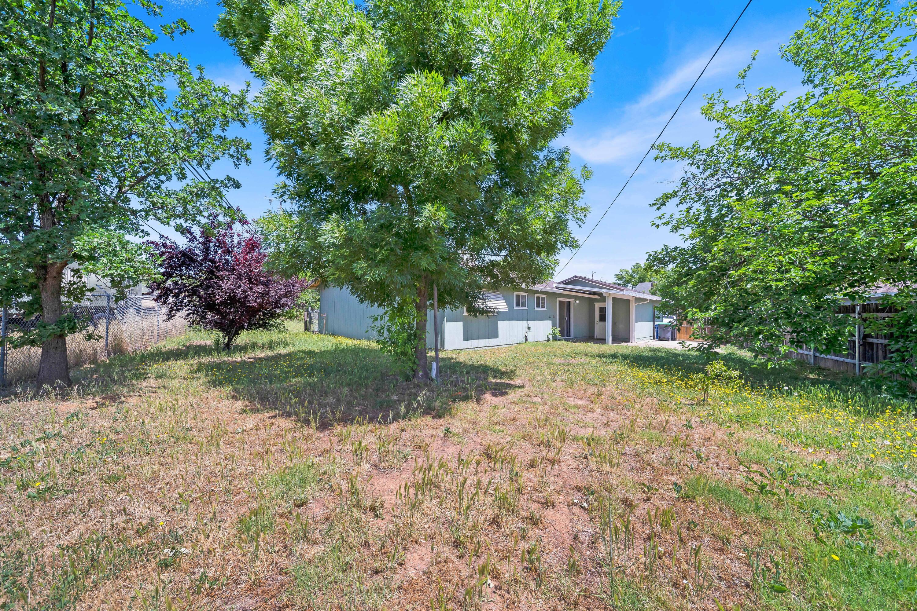 1945 Luning Street Red Bluff, CA 96080 - Photo 22 of 23 a view of a house with yard and a tree