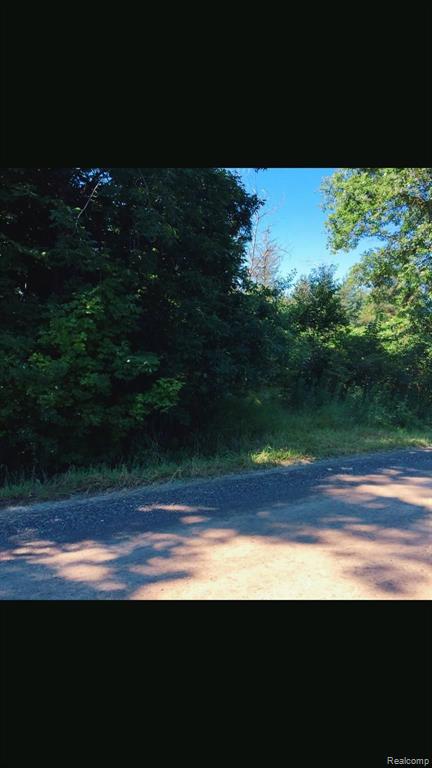 0 30 Mile Road Ray, MI 48096 - Photo 1 of 5