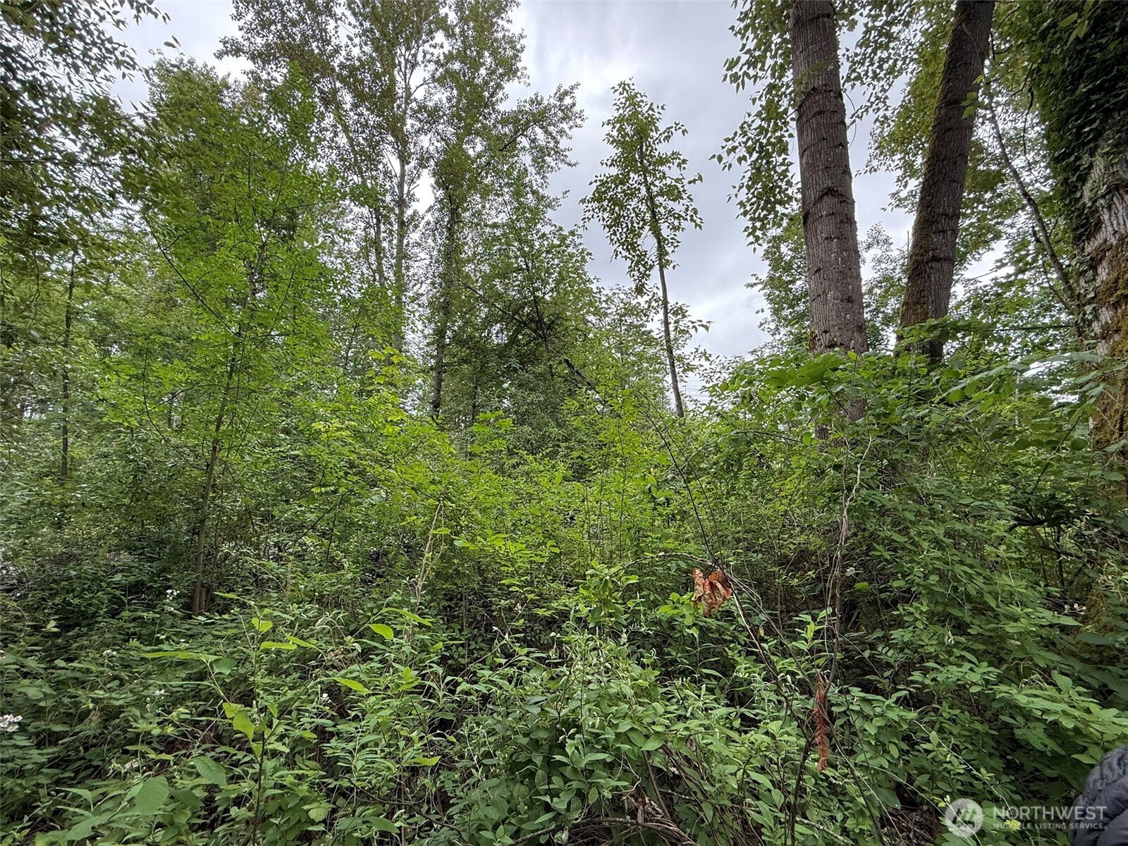 1810 South 27th Street Renton, WA 98055 - Photo 4 of 35 Gallery Image 4