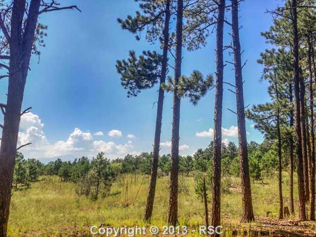10710 Huntsman Road Colorado Springs, CO 80908 - Photo 7 of 7