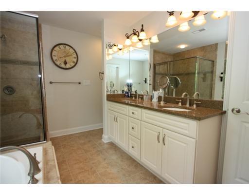 797 Scrubgrass Road Mt. Lebanon, PA 15243 - Photo 14 of 18 Master Bath/Spa.