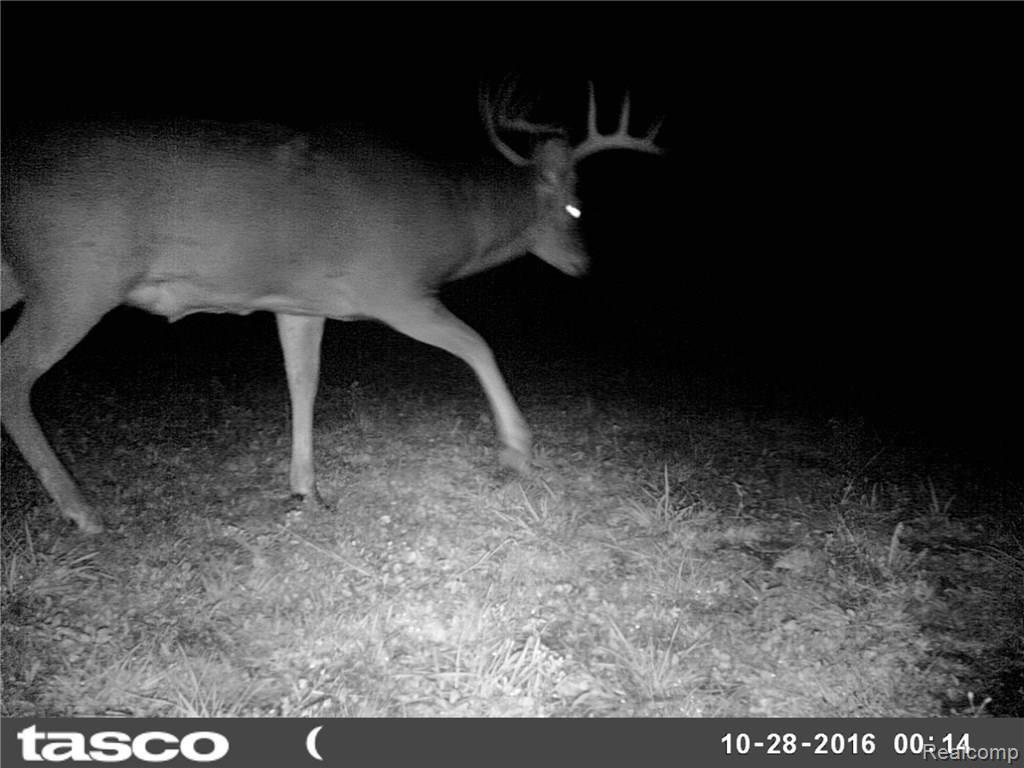 Na Moscow Road Jonesville, MI 49250 - Photo 35 of 36