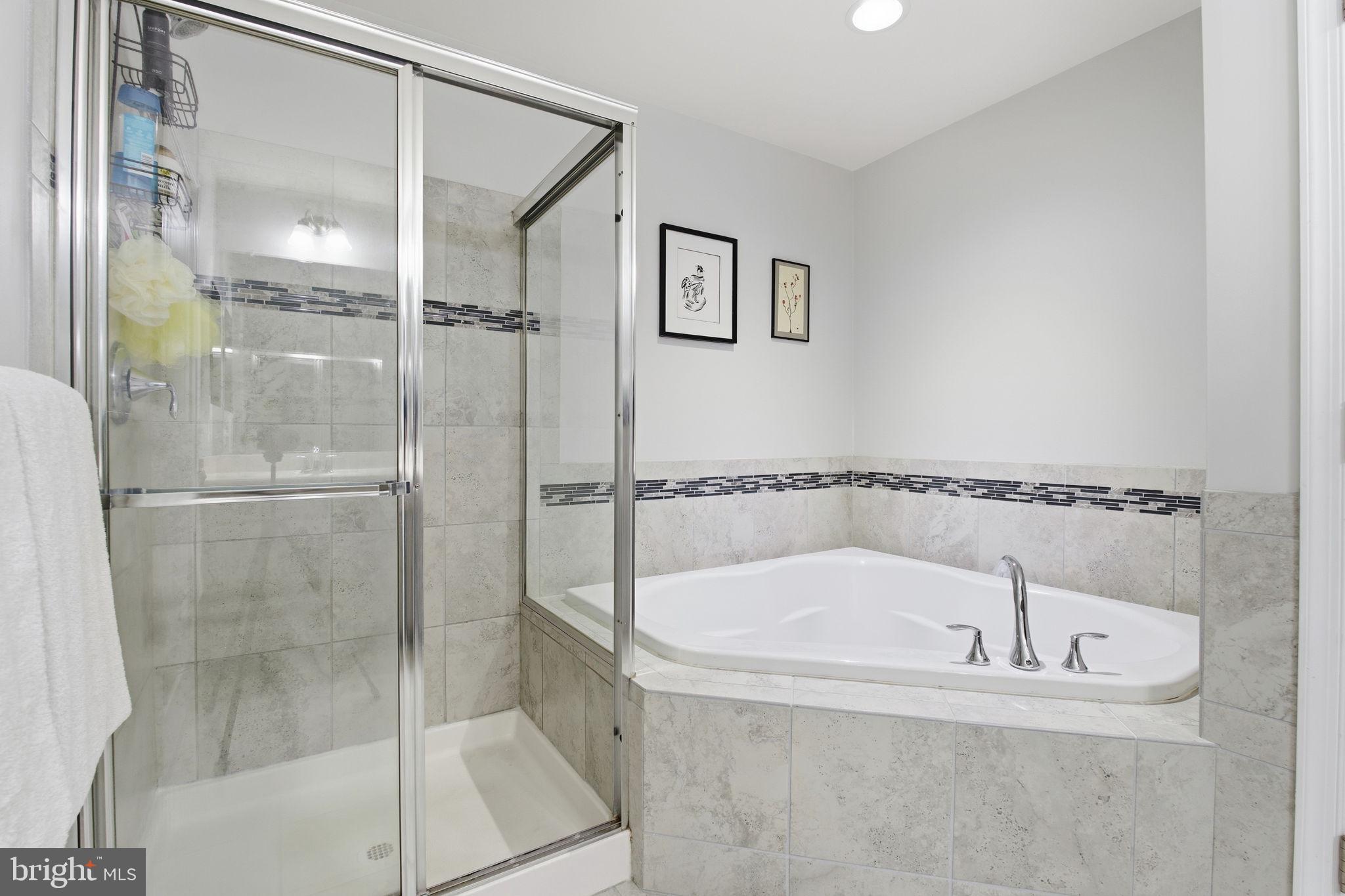 119 Admirals Ridge Drive Arnold, MD 21012 - Photo 21 of 39 Primary Bath