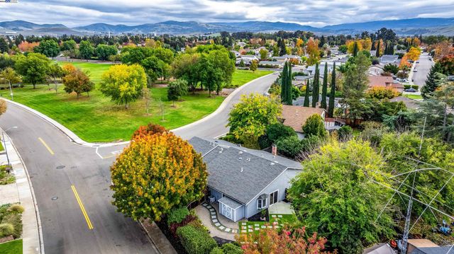 a view of a city with lush green forest