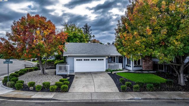 a view of a house with a yard potted plants and large tree