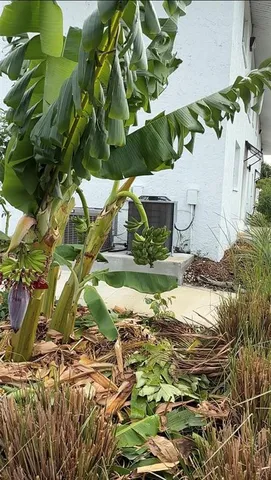 $1,600 | 146 Boundary Boulevard, Unit B202, Rotonda West, FL 33947