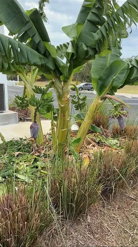 $1,600 | 146 Boundary Boulevard, Unit B202, Rotonda West, FL 33947