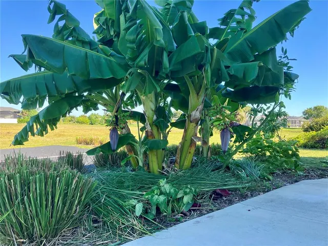 $1,600 | 146 Boundary Boulevard, Unit B202, Rotonda West, FL 33947