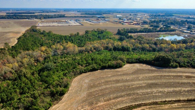 Undisclosed Address Headland, AL 36345 - Photo 6 of 36