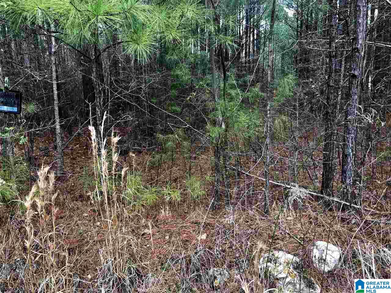 4040 Sportsman Lake Road, Unit 1 Odenville, AL 35120 - Photo 5 of 11