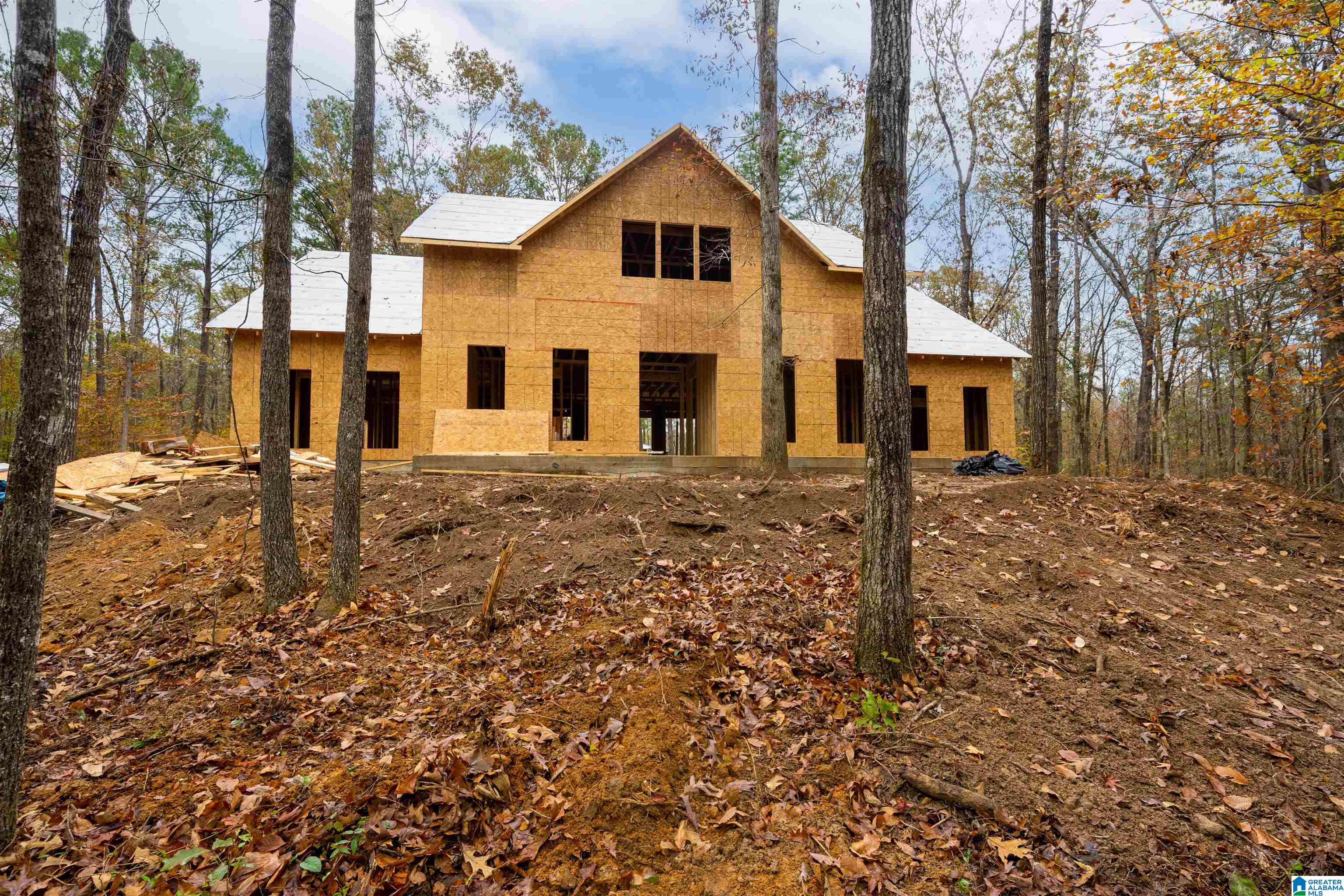 85 Hodgens Road Chelsea, AL 35043 - Photo 6 of 13 Gallery Image 6