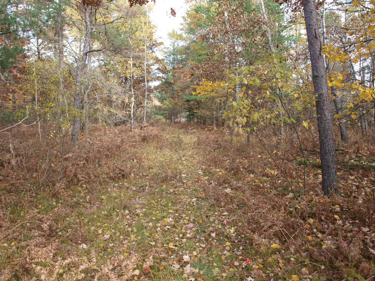 South Covell Road Roscommon, MI 48653 - Photo 4 of 12 Gallery Image 4