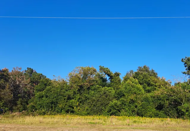 $16,050 | 38-121 Hampton Street, Elloree, SC 29047