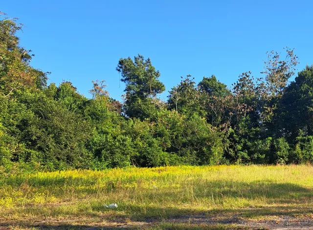 $16,050 | 38-121 Hampton Street, Elloree, SC 29047