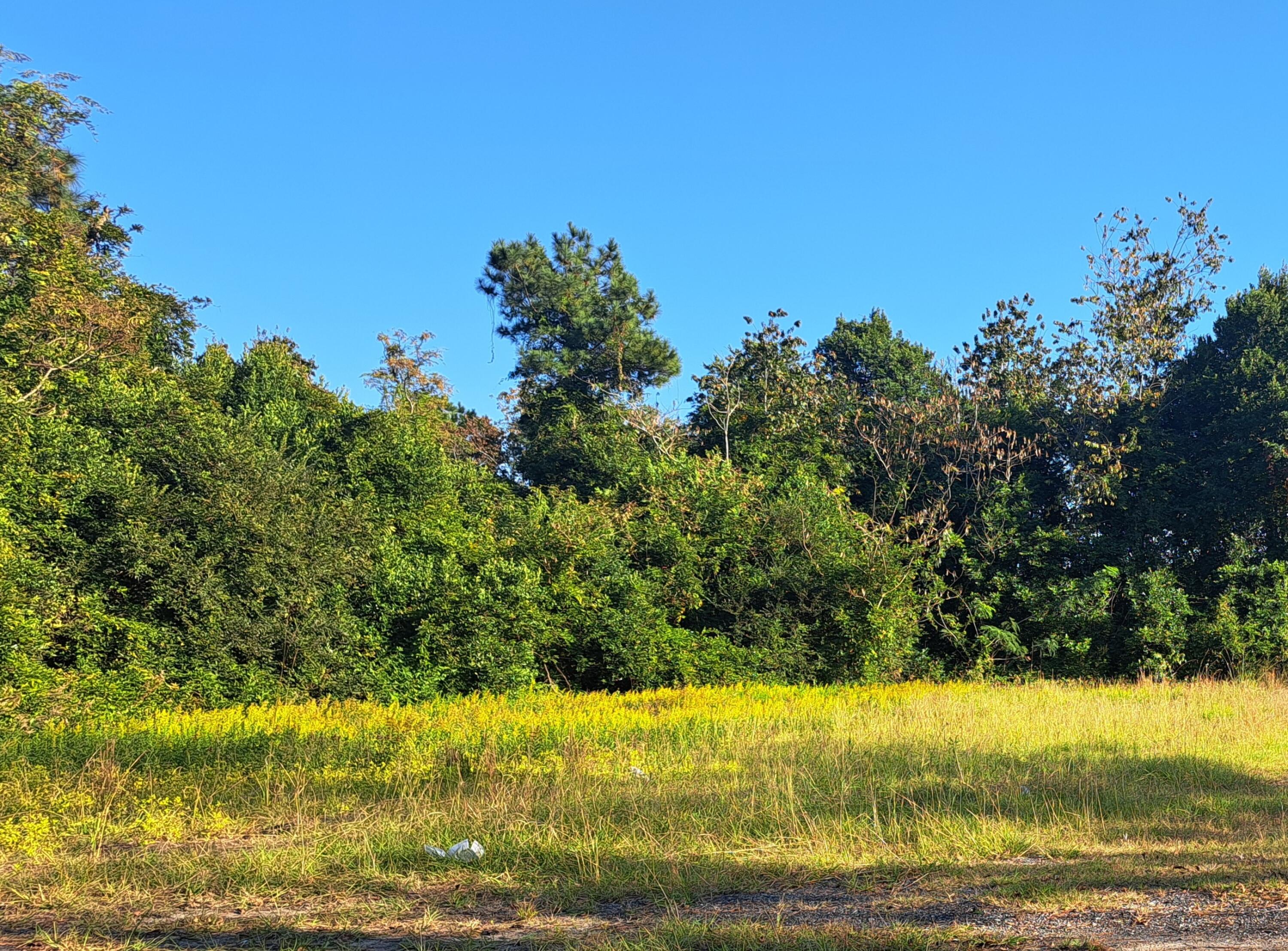 38-121 Hampton Street Elloree, SC 29047 - Photo 2 of 3 Elloree 4
