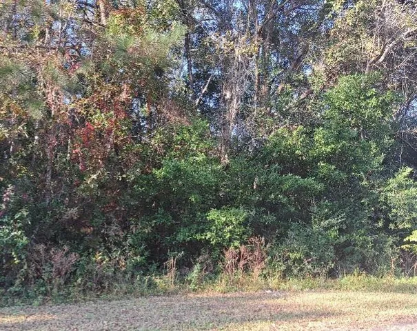 $16,050 | 38-121 Hampton Street, Elloree, SC 29047