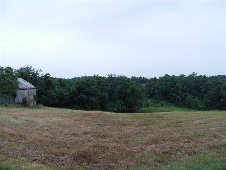 10318 Washington Trace Road California, KY 41007 - Photo 16 of 17