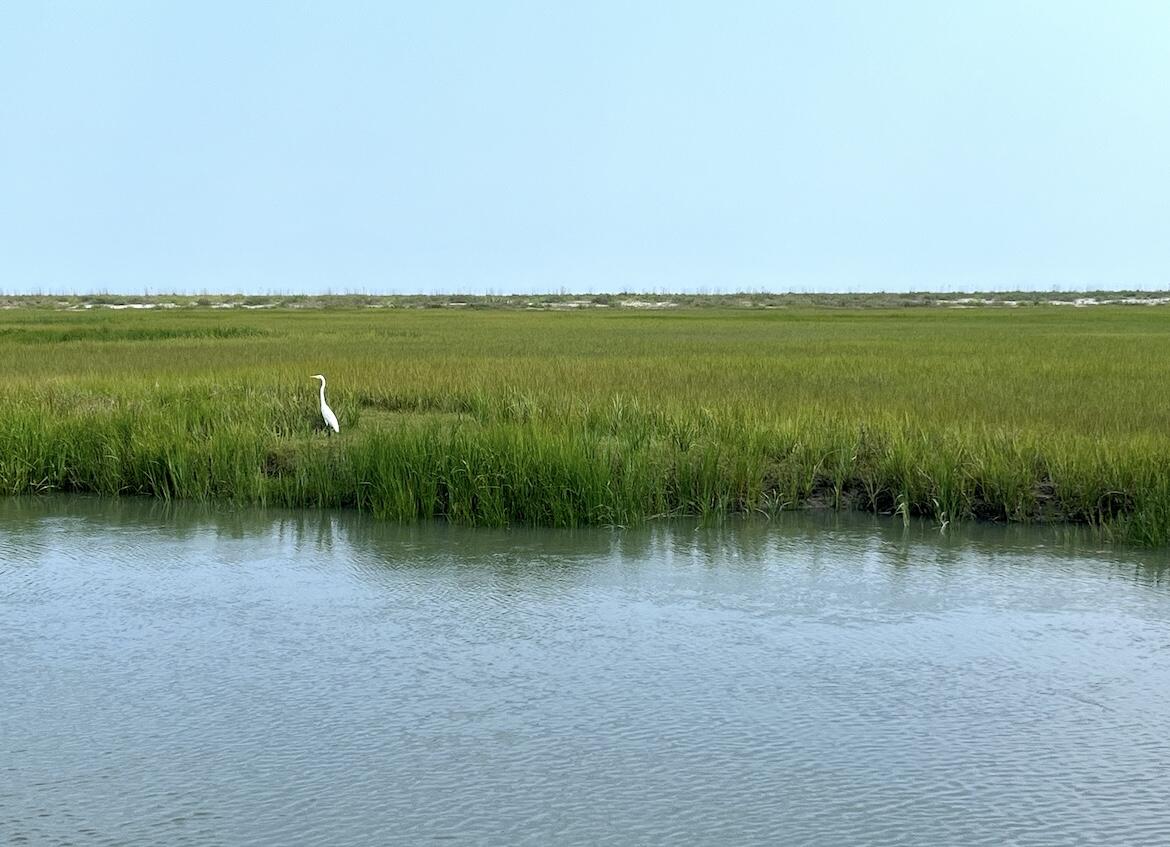 0 Hammocks Way Edisto Island, SC 29438 - Photo 35 of 40 IMG_7305