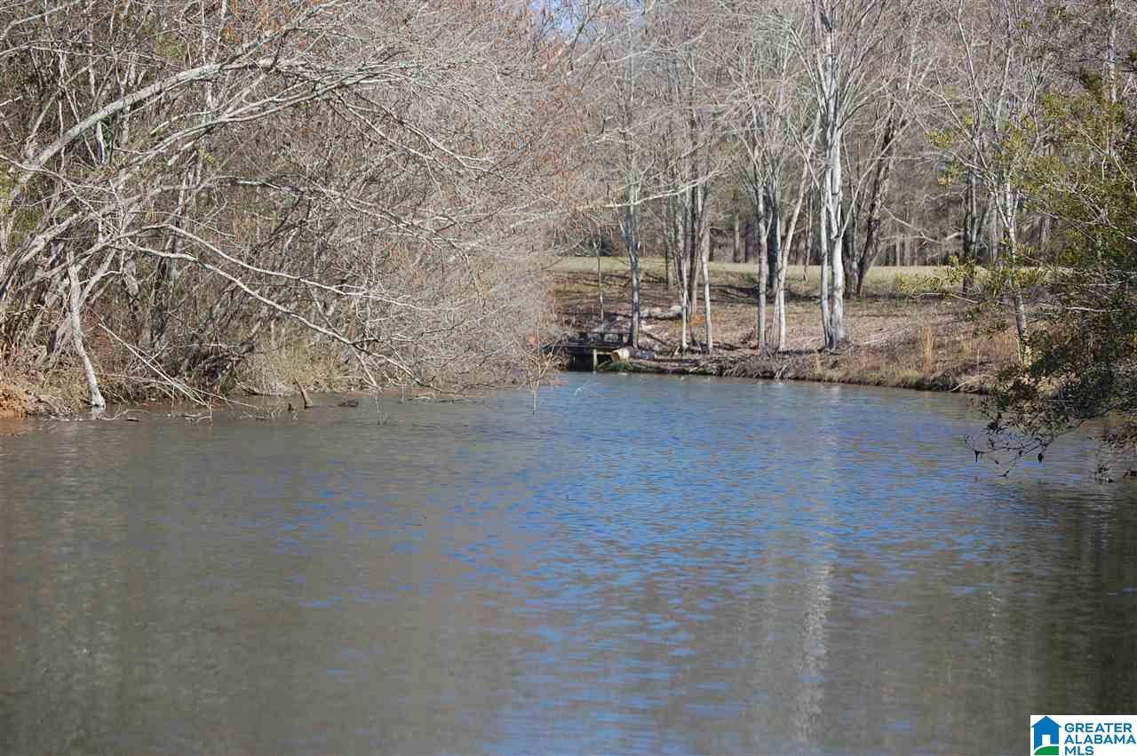 0 Carleton Point, Unit 12 Wilsonville, AL 35186 - Photo 3 of 13