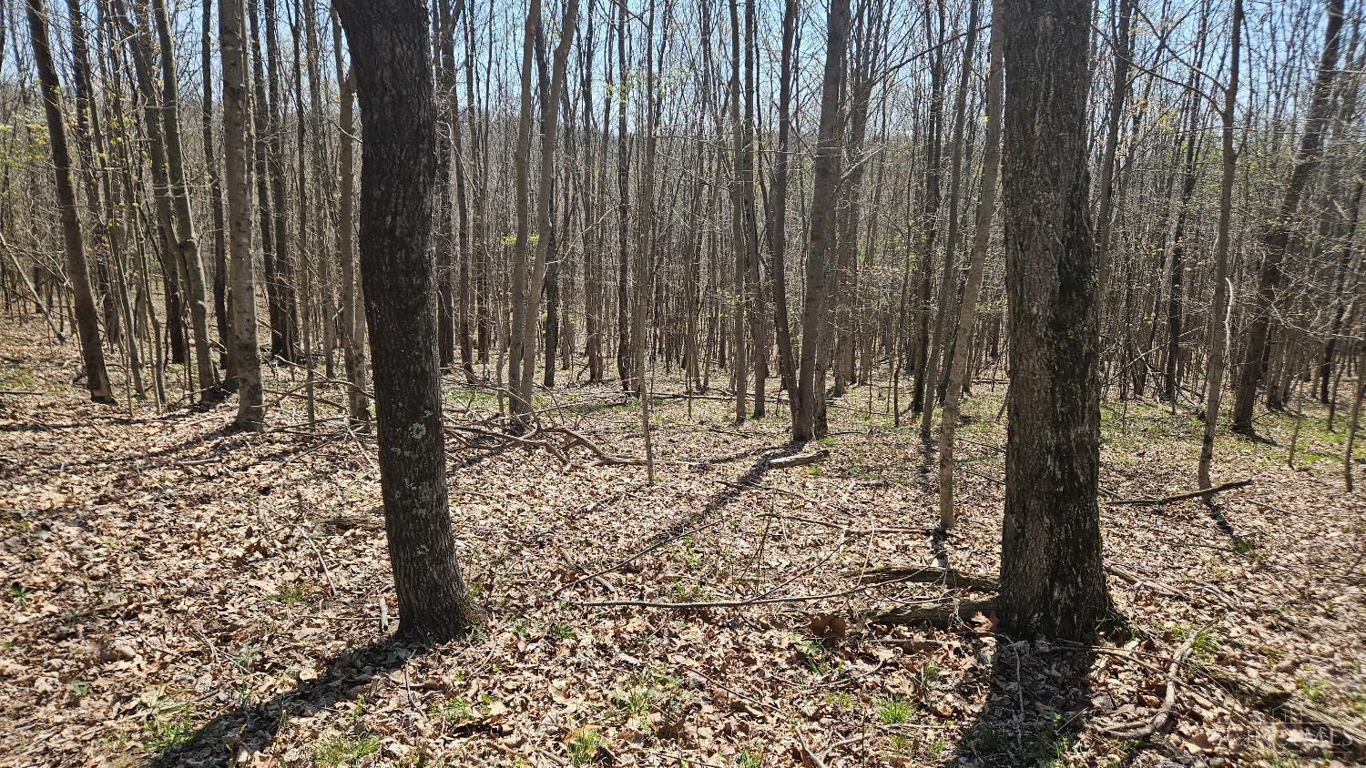 0 Spruce Hollow Road South Webster, OH 45682 - Photo 18 of 54