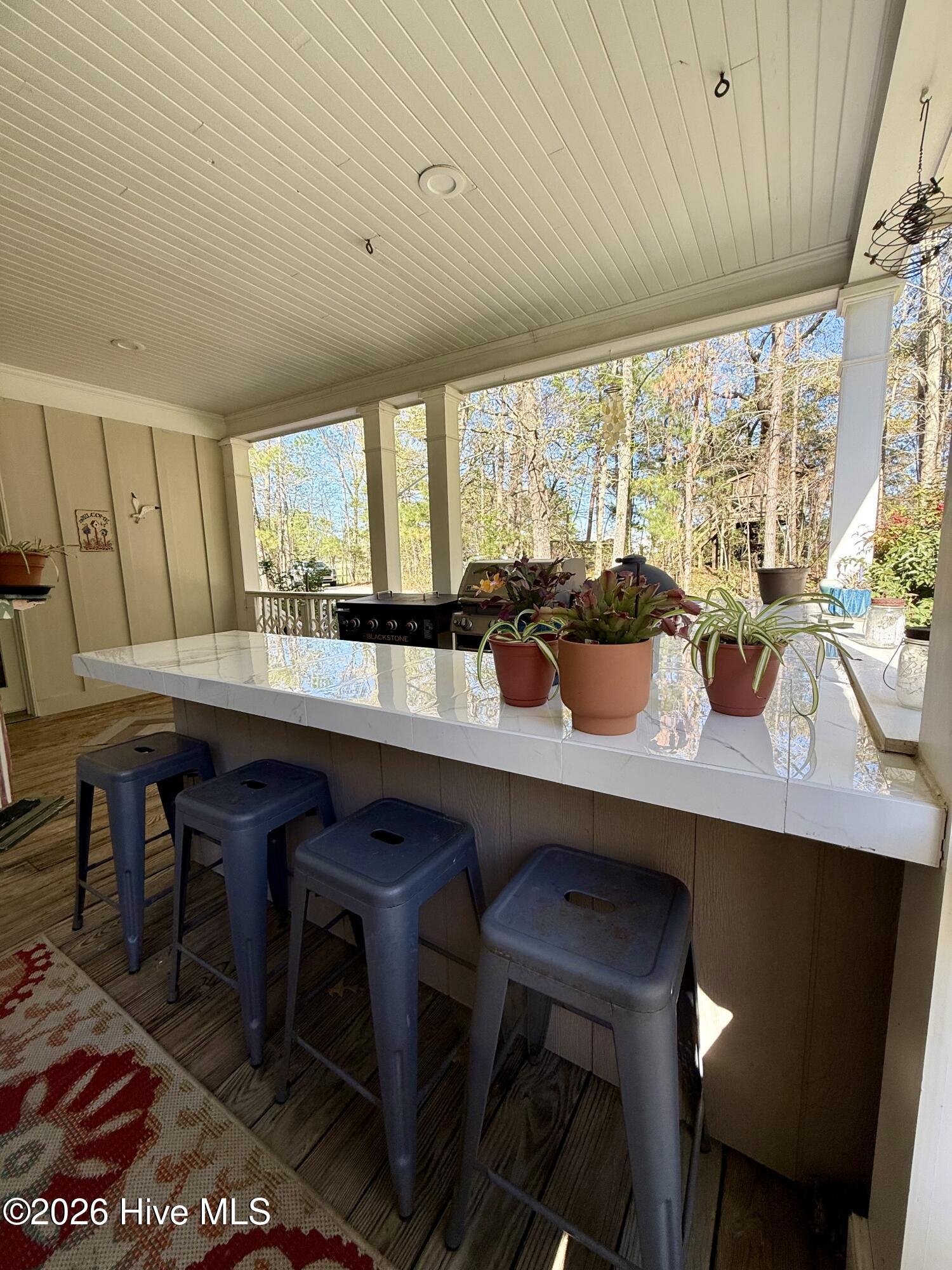1285 Bear Grass Road Williamston, NC 27892 - Photo 38 of 130 Outdoor Kitchen Area