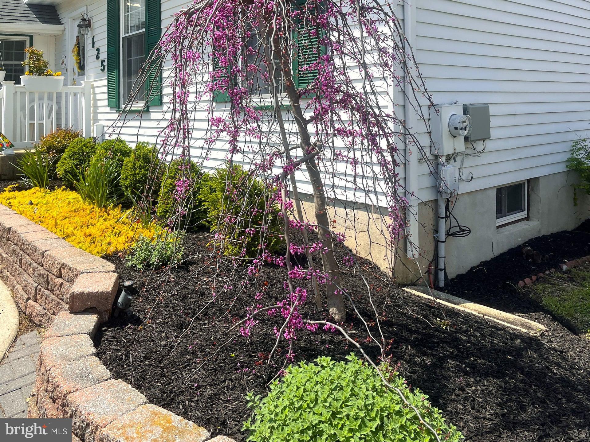 125 Trent Road Turnersville, NJ 08012 - Photo 20 of 48