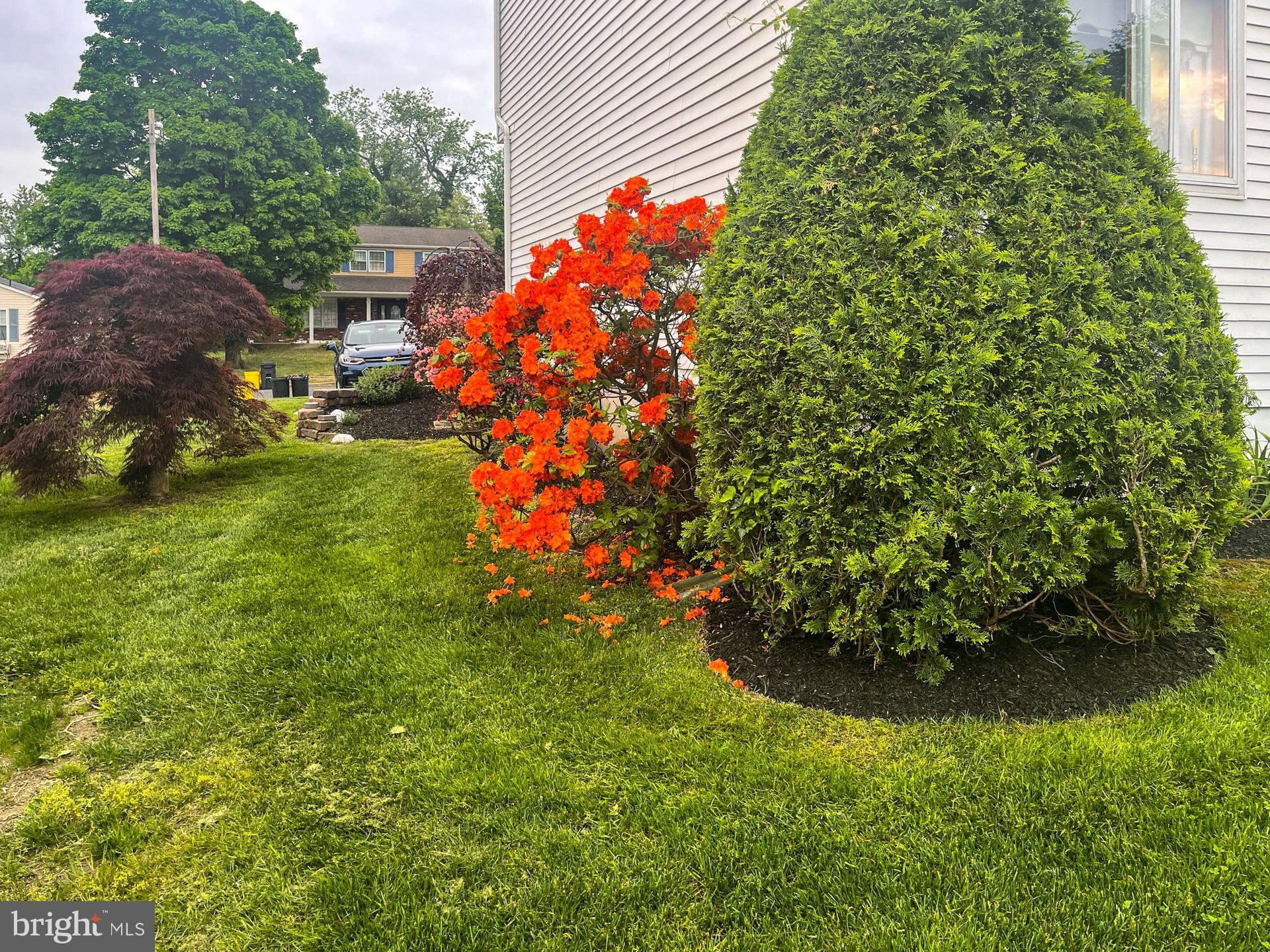 125 Trent Road Turnersville, NJ 08012 - Photo 22 of 48