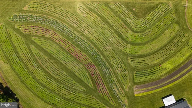 $1,999,000 | 550 Hands Mill Road, Woodbine, NJ 08270