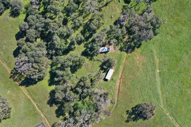 a view of a forest with mountains in the background