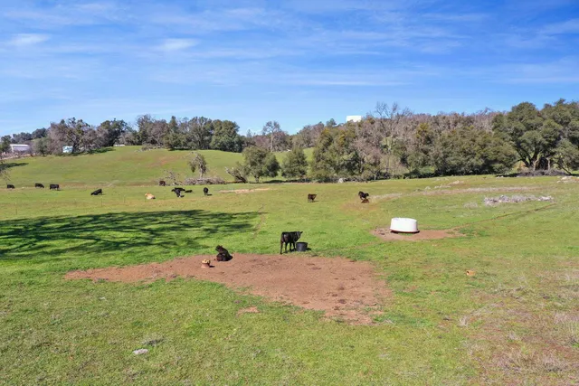 a view of a field with an ocean