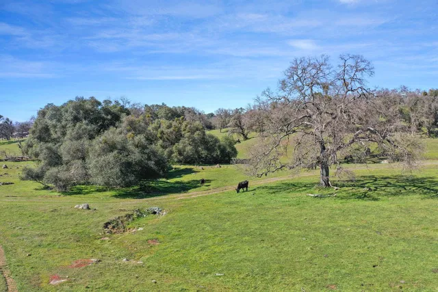 a view of a field with an trees