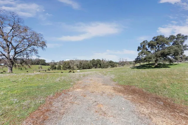 a view of a lake with houses in the background