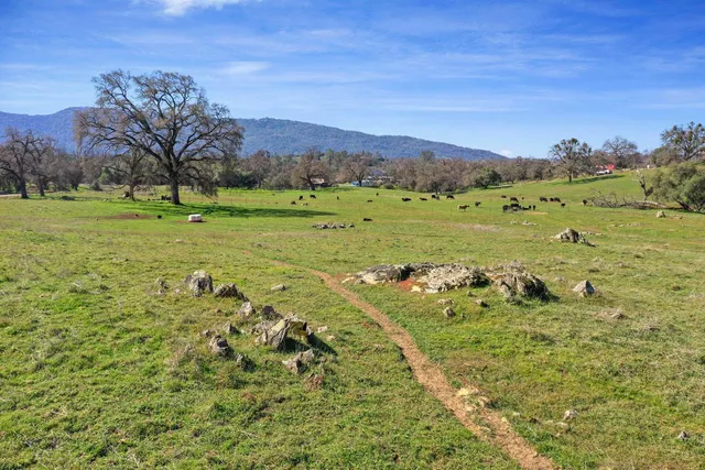 a view of a field with an trees