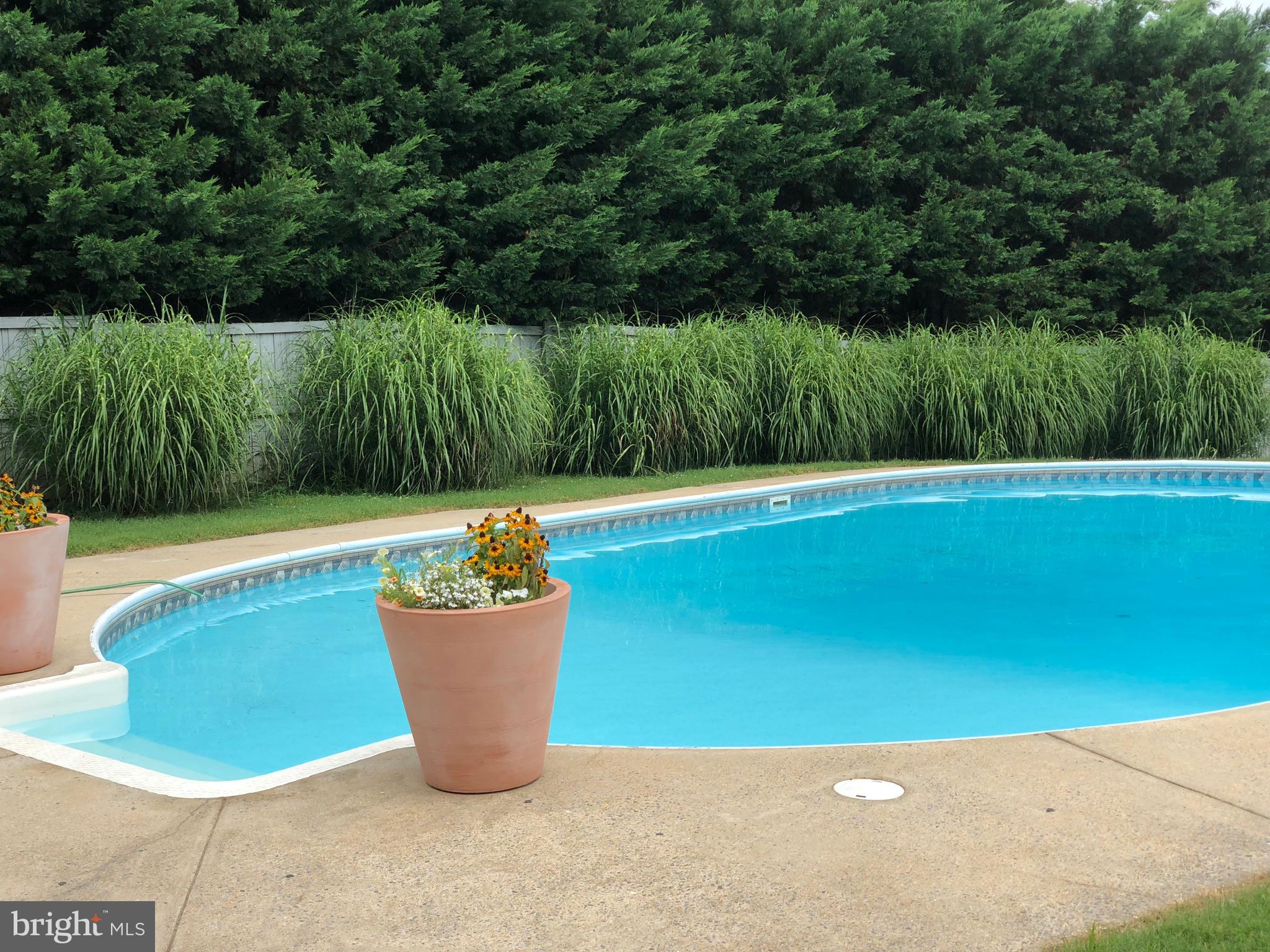 1210 Florence Road Mount Airy, MD 21771 - Photo 7 of 52 Beautiful in-ground pool