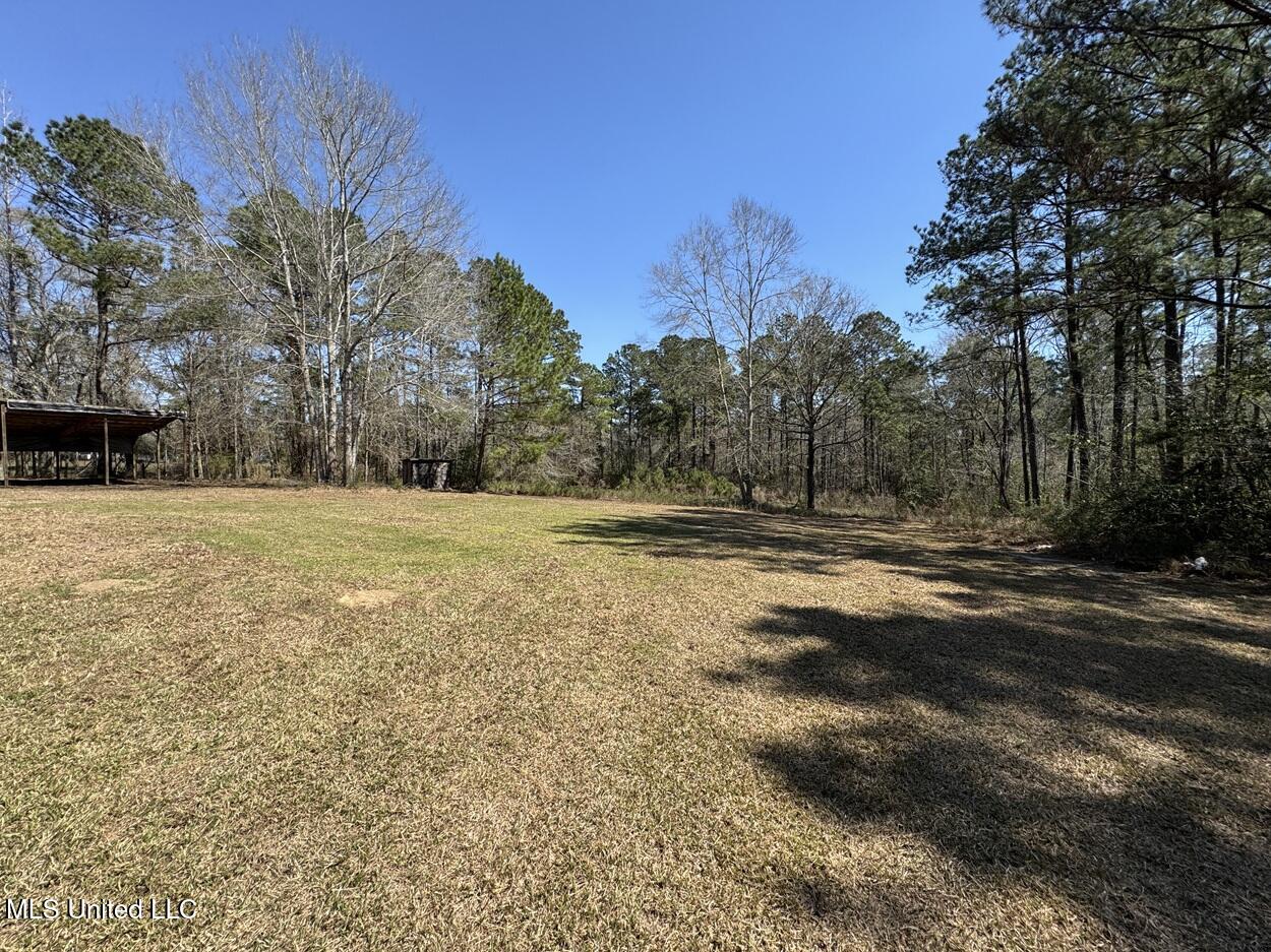 22228 Riverline Road Saucier, MS 39574 - Photo 4 of 22 Land