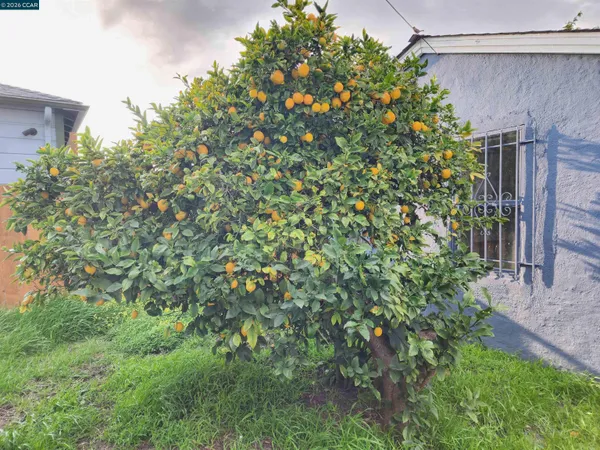 $750,000 | 2387 Humphrey Avenue, Richmond, CA 94804