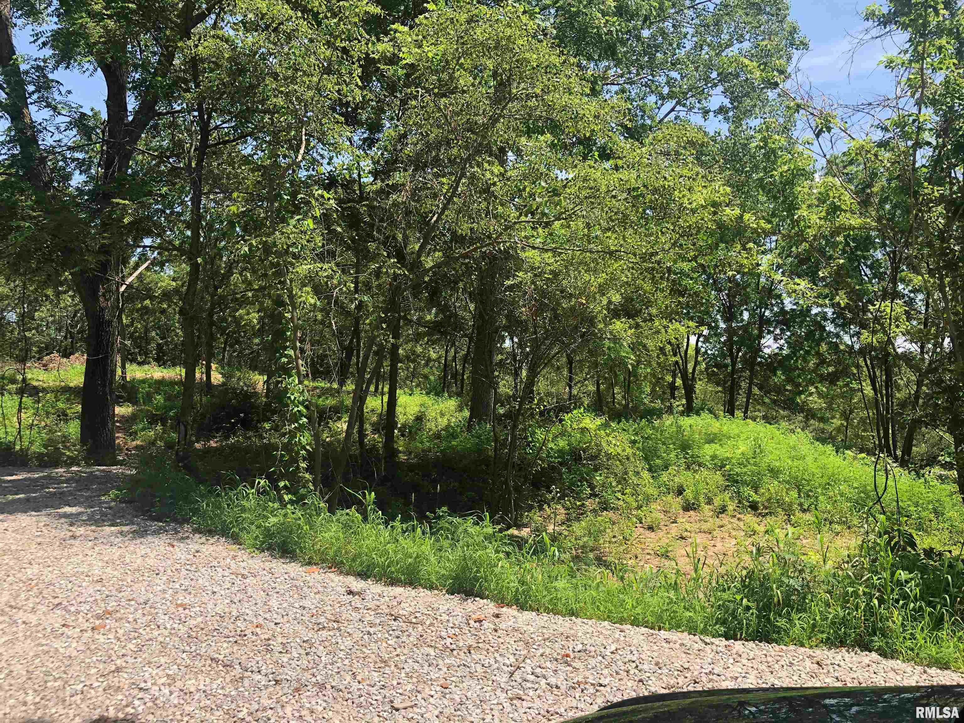 Lot 1 West McKee Road Peoria, IL 61607 - Photo 2 of 5