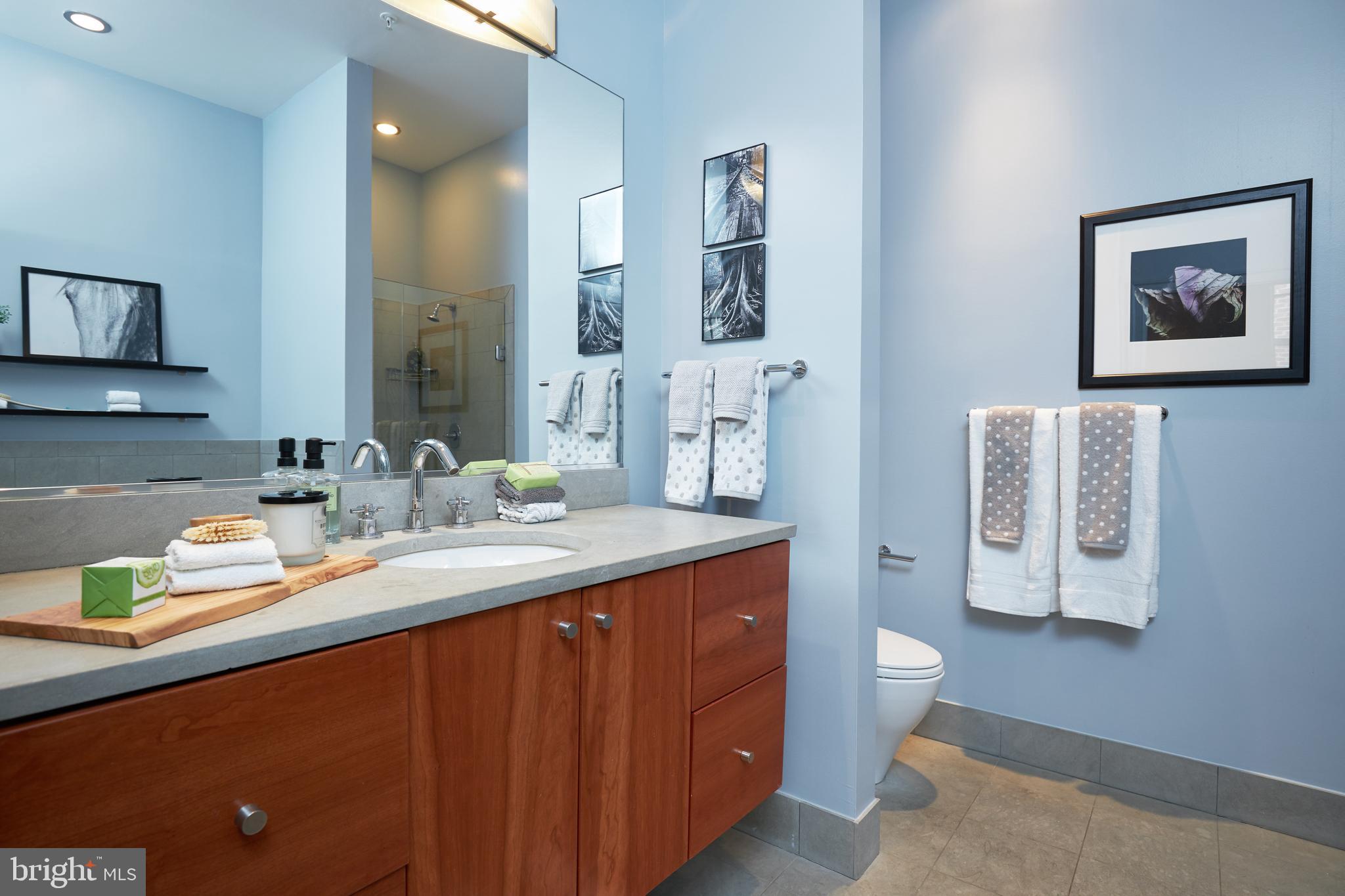 2516 Q Street Northwest, Unit Q202 Washington, DC 20007 - Photo 13 of 28 Master Bathroom