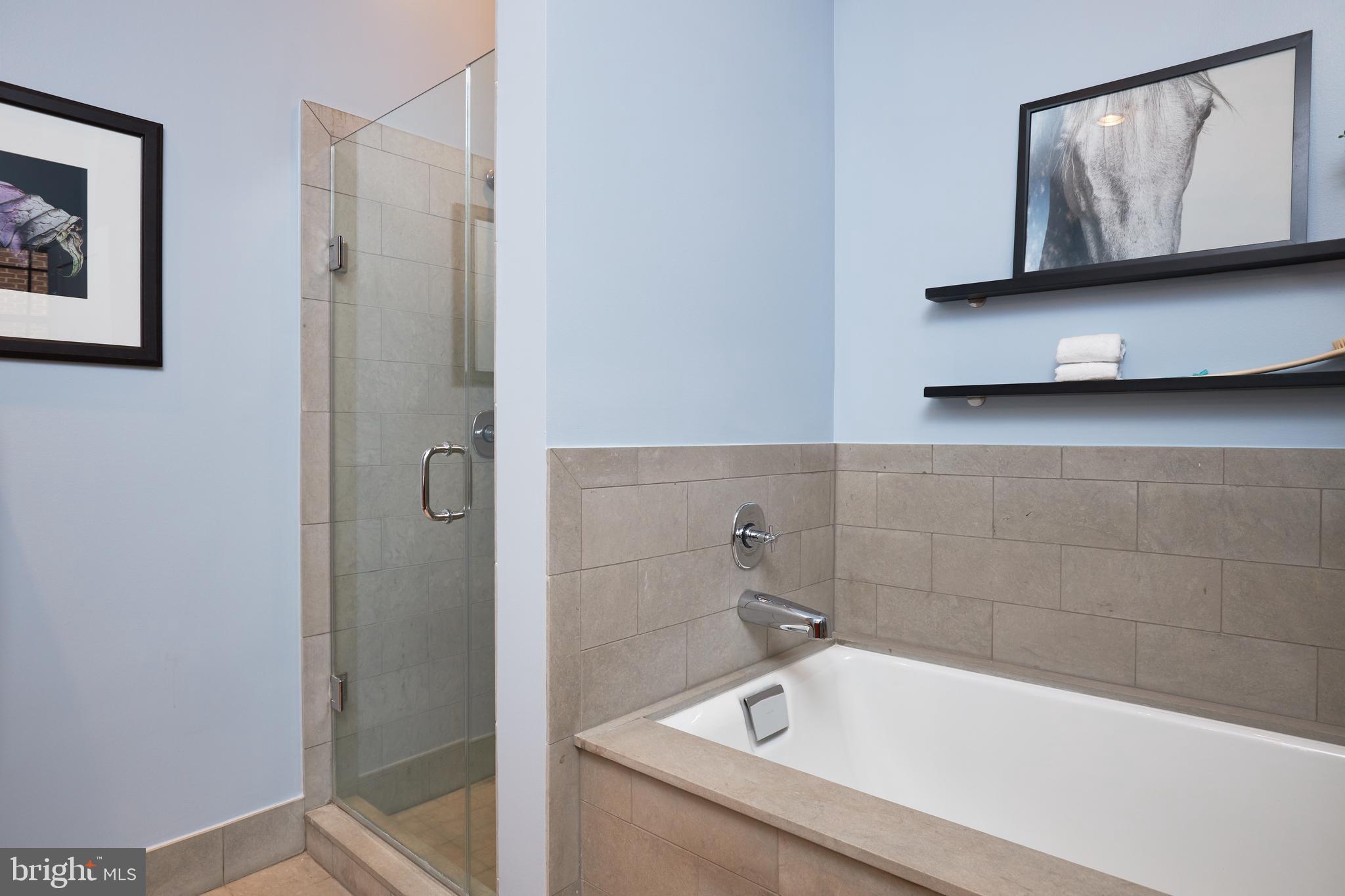 2516 Q Street Northwest, Unit Q202 Washington, DC 20007 - Photo 14 of 28 Deep Soaker Tub and Separate Shower