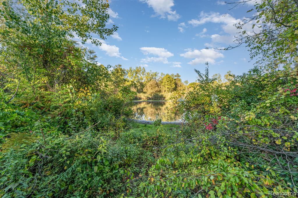 4354 Maybee Road Lake Orion, MI 48359 - Photo 14 of 22