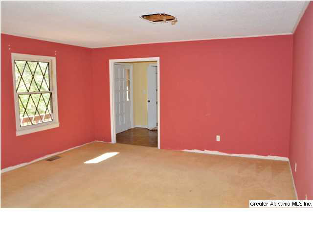 3711 Blue Springs Road Wilsonville, AL 35186 - Photo 4 of 29